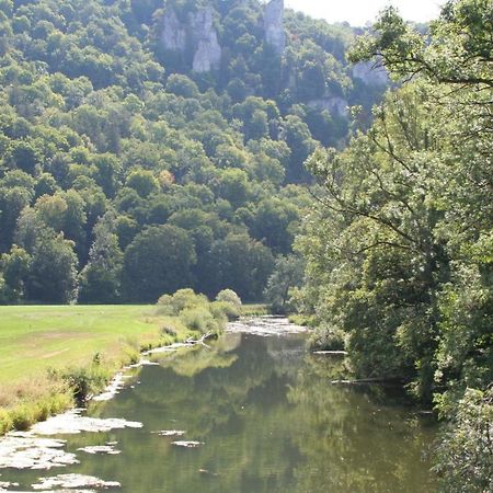 Hotel Gaestehaus Theresia Garni Muhlheim an der Donau Экстерьер фото